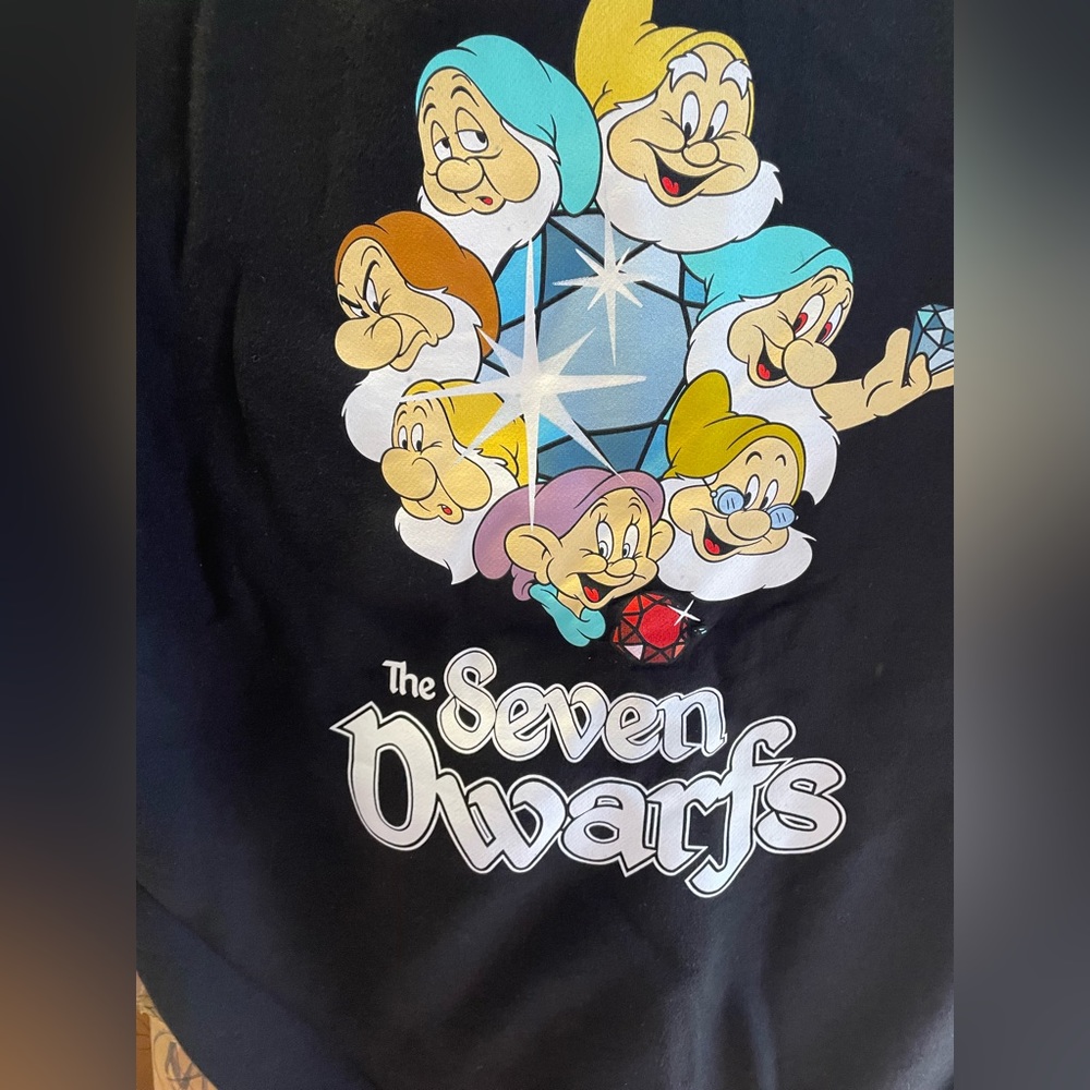 Diamond Supply Co x Disney Snow White Seven Dwarfs Hoodie Sz L BNWT Rare NEW